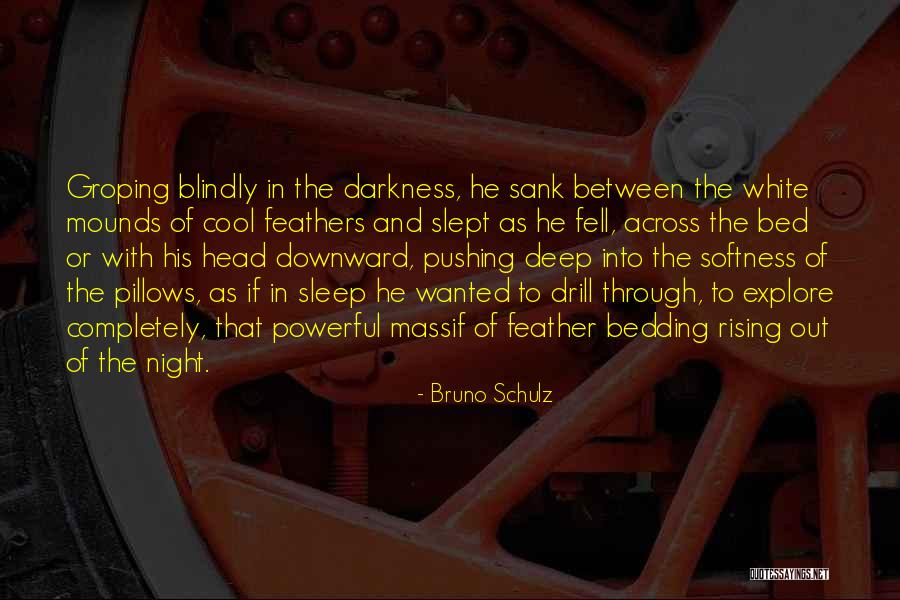 Pajarito Quotes By Bruno Schulz Pajarito Quotes By Bruno Schulz