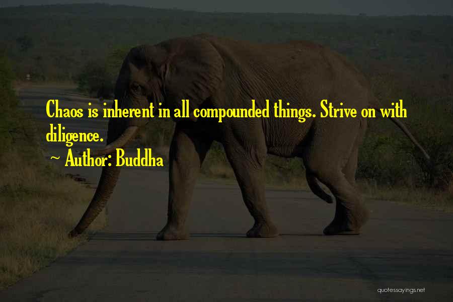 Pajaritos Para Quotes By Buddha