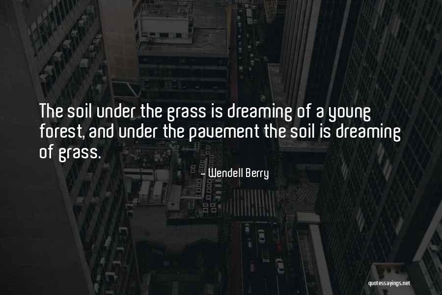 Pakettien Quotes By Wendell Berry Pakettien Quotes By Wendell Berry