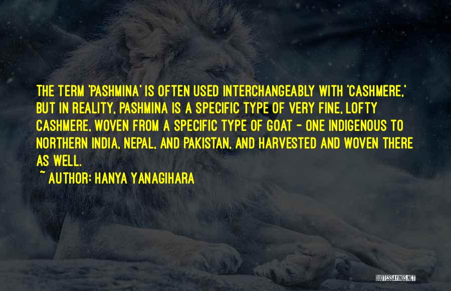 Pakistan And India Quotes By Hanya Yanagihara