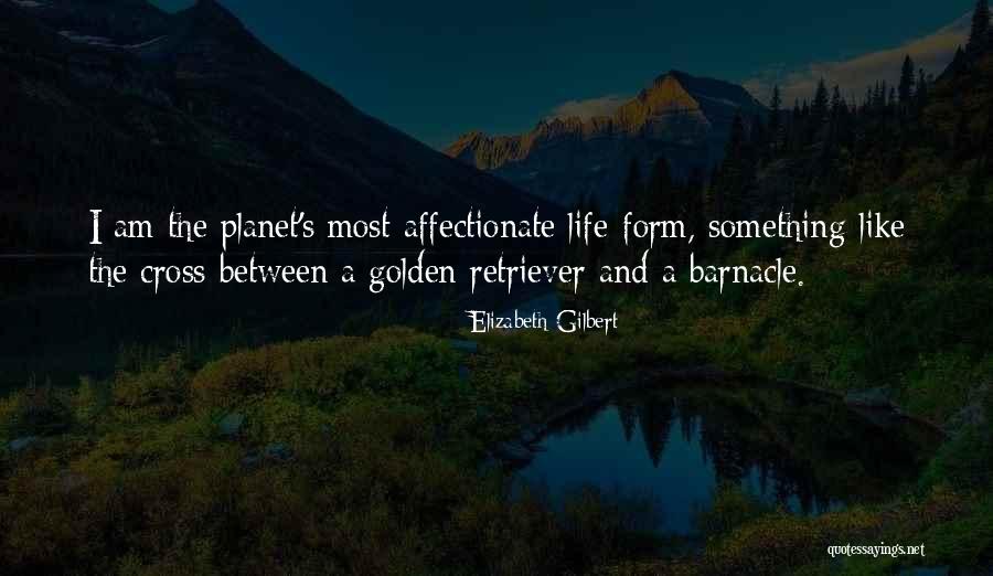 Pako Tane Mapa Quotes By Elizabeth Gilbert Pako Tane Mapa Quotes By Elizabeth Gilbert