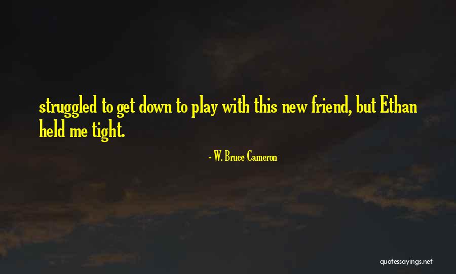 Palaban Love Quotes By W. Bruce Cameron Palaban Love Quotes By W. Bruce Cameron