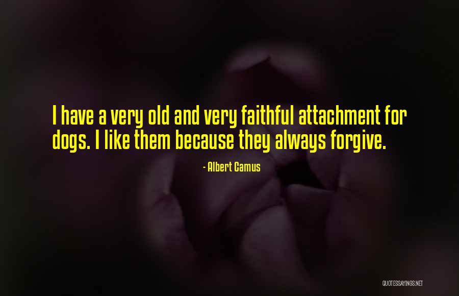 Palaban Na Love Quotes By Albert Camus Palaban Na Love Quotes By Albert Camus