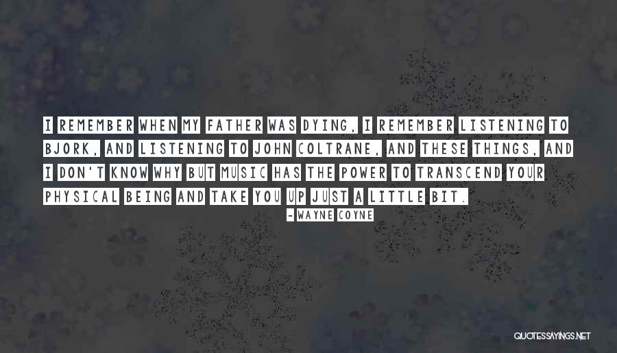 Palabiyik A Quotes By Wayne Coyne Palabiyik A Quotes By Wayne Coyne