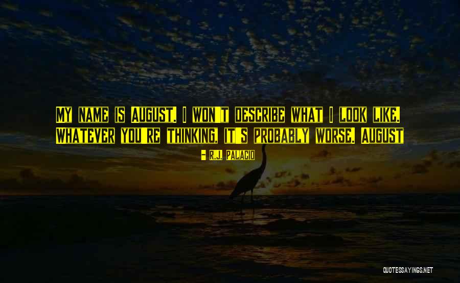 Palacio Quotes By R.J. Palacio Palacio Quotes By R.J. Palacio
