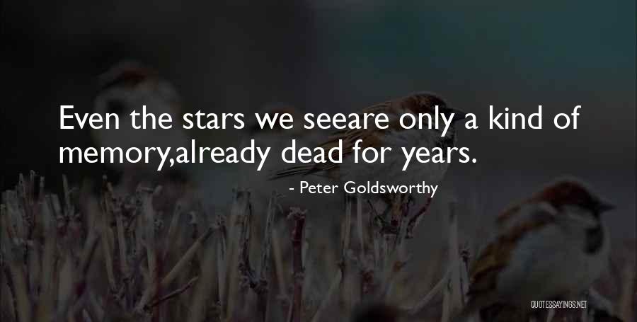 Paladin 5e Quotes By Peter Goldsworthy Paladin 5e Quotes By Peter Goldsworthy