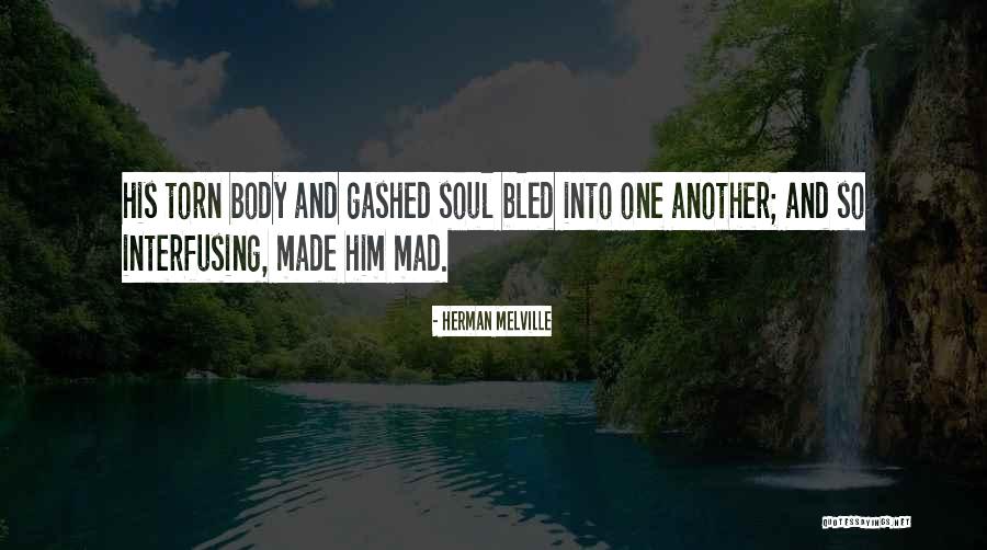 Paladiner Quotes By Herman Melville Paladiner Quotes By Herman Melville