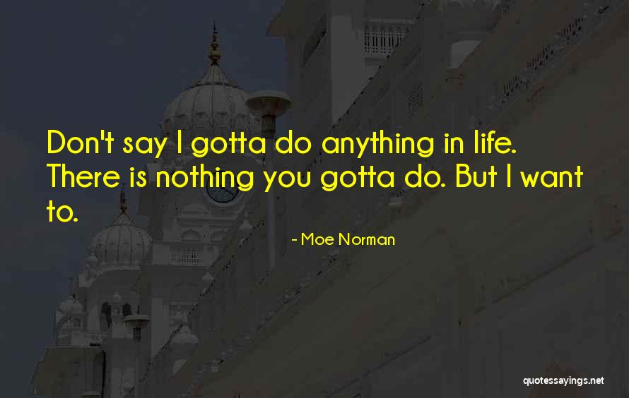 Paladinos Mattydale Quotes By Moe Norman Paladinos Mattydale Quotes By Moe Norman