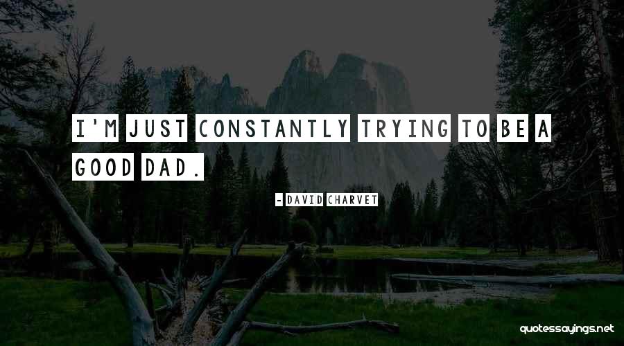 Palaestra Gymnastics Quotes By David Charvet Palaestra Gymnastics Quotes By David Charvet