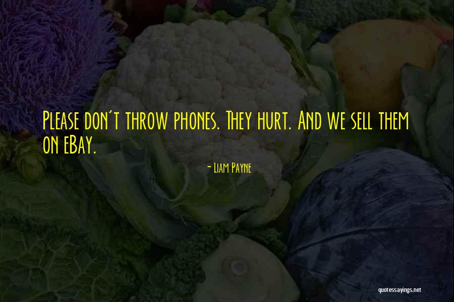 Palancin Quotes By Liam Payne Palancin Quotes By Liam Payne