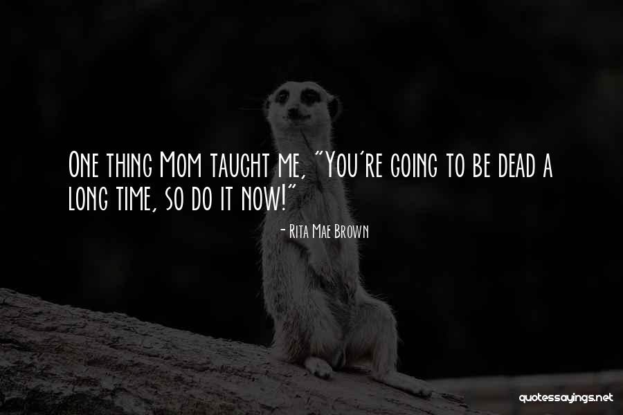 Palancin Quotes By Rita Mae Brown Palancin Quotes By Rita Mae Brown