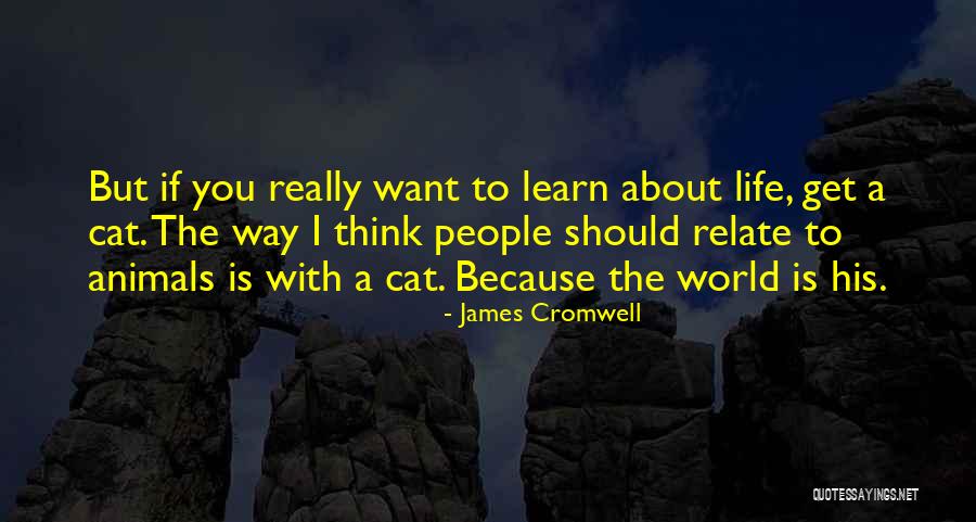Palandjian Pronounce Quotes By James Cromwell Palandjian Pronounce Quotes By James Cromwell