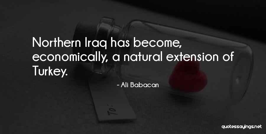 Palandri Weather Quotes By Ali Babacan Palandri Weather Quotes By Ali Babacan