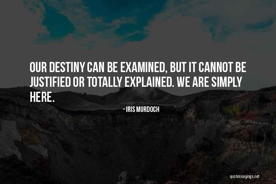 Palavecino Si Quotes By Iris Murdoch Palavecino Si Quotes By Iris Murdoch