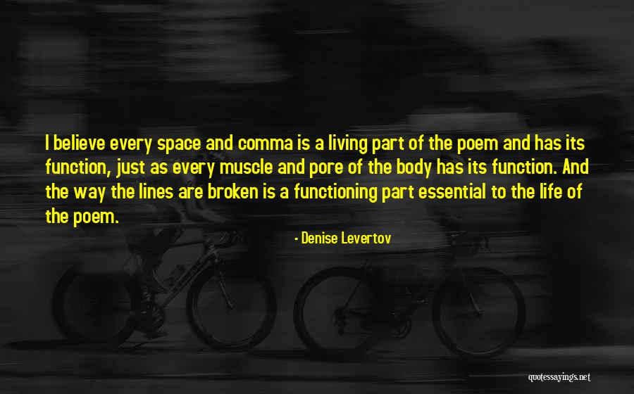 Palawatthe Quotes By Denise Levertov Palawatthe Quotes By Denise Levertov