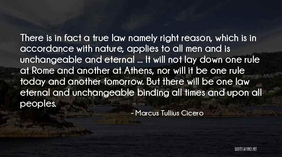 Palazzo Pant Quotes By Marcus Tullius Cicero Palazzo Pant Quotes By Marcus Tullius Cicero