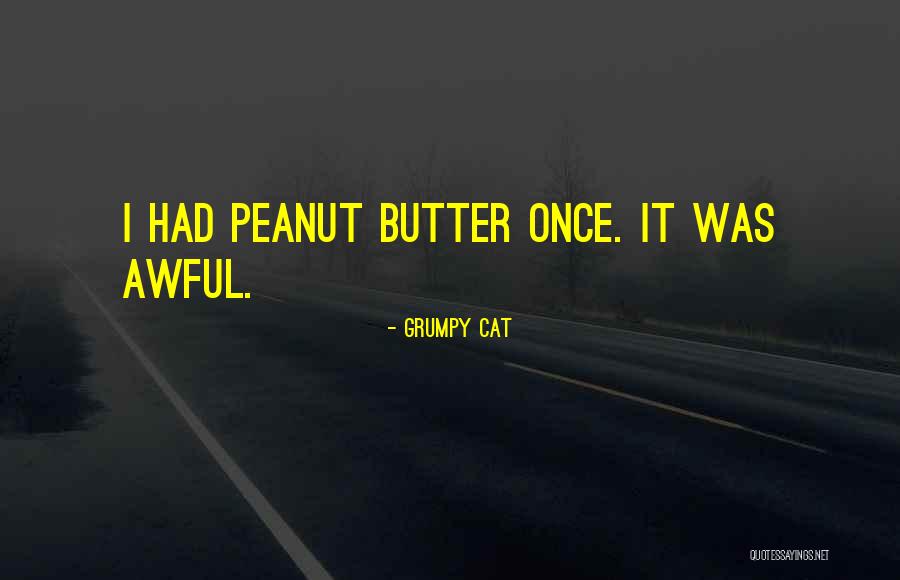 Palazzotto Luca Quotes By Grumpy Cat Palazzotto Luca Quotes By Grumpy Cat