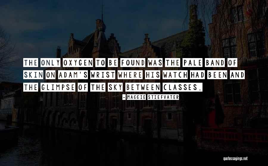 Pale Skin Quotes By Maggie Stiefvater Pale Skin Quotes By Maggie Stiefvater