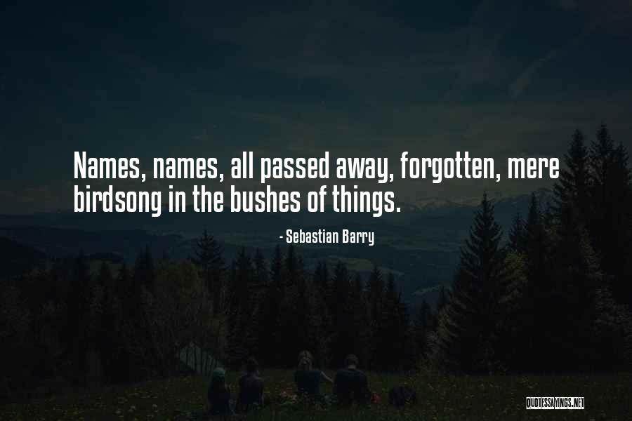 Palencia Online Quotes By Sebastian Barry Palencia Online Quotes By Sebastian Barry