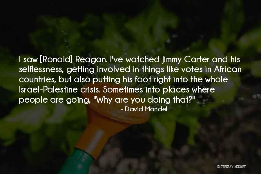 Palestine And Israel Quotes By David Mandel