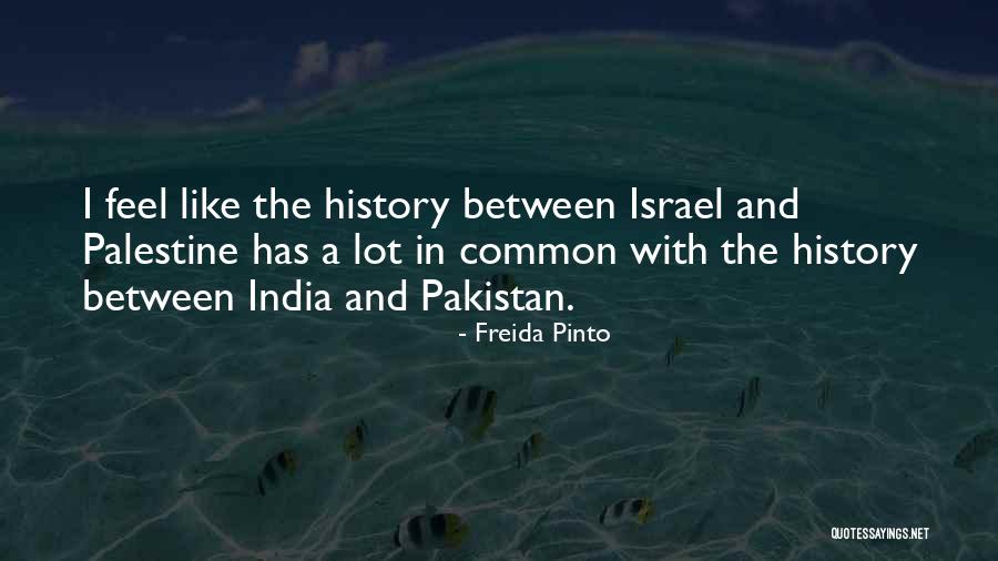 Palestine And Israel Quotes By Freida Pinto