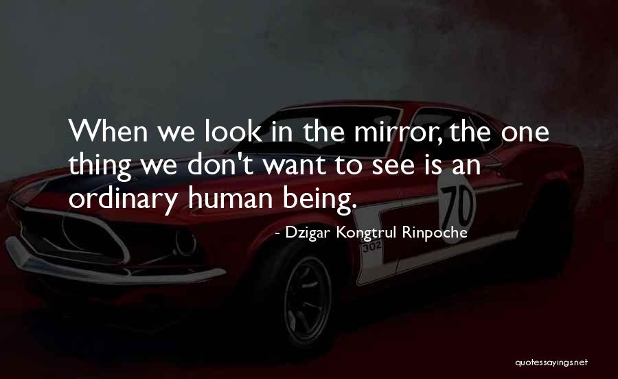 Paletas De Madera Quotes By Dzigar Kongtrul Rinpoche Paletas De Madera Quotes By Dzigar Kongtrul Rinpoche