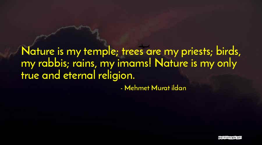 Palevsky Tenpenny Quotes By Mehmet Murat Ildan Palevsky Tenpenny Quotes By Mehmet Murat Ildan