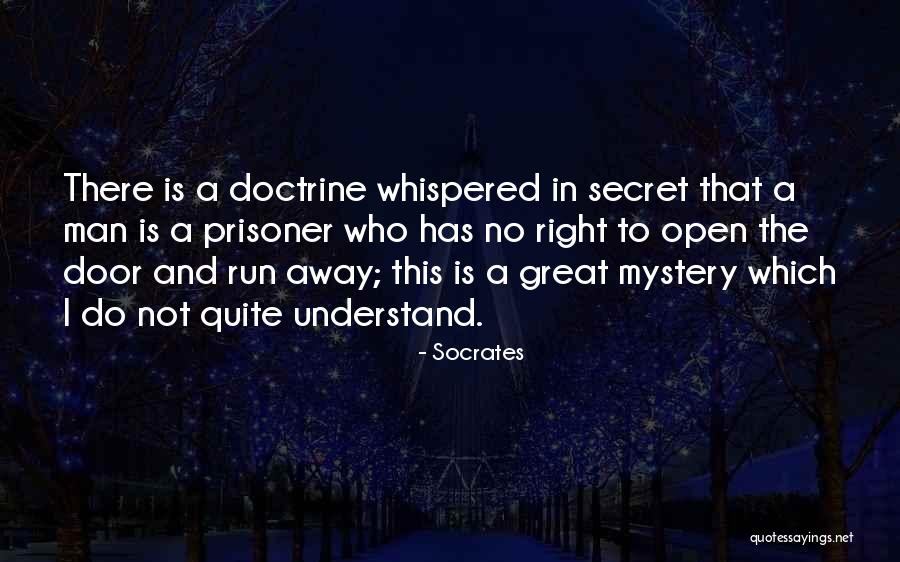 Palhota Quotes By Socrates Palhota Quotes By Socrates