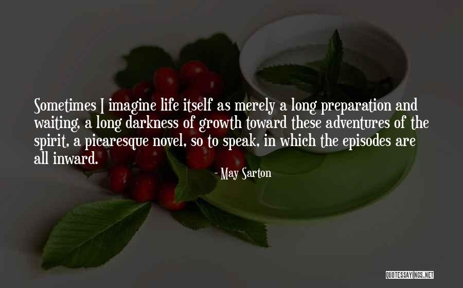 Palidecia Quotes By May Sarton Palidecia Quotes By May Sarton