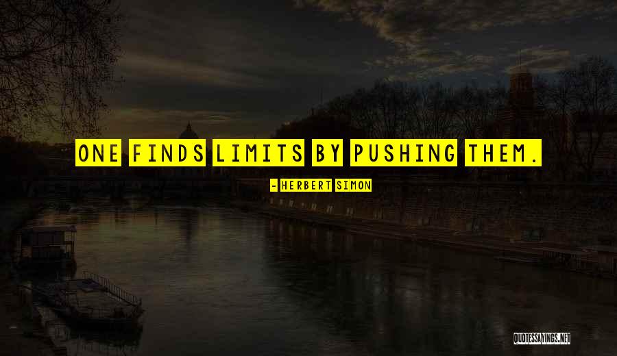 Paliotta Builders Quotes By Herbert Simon Paliotta Builders Quotes By Herbert Simon