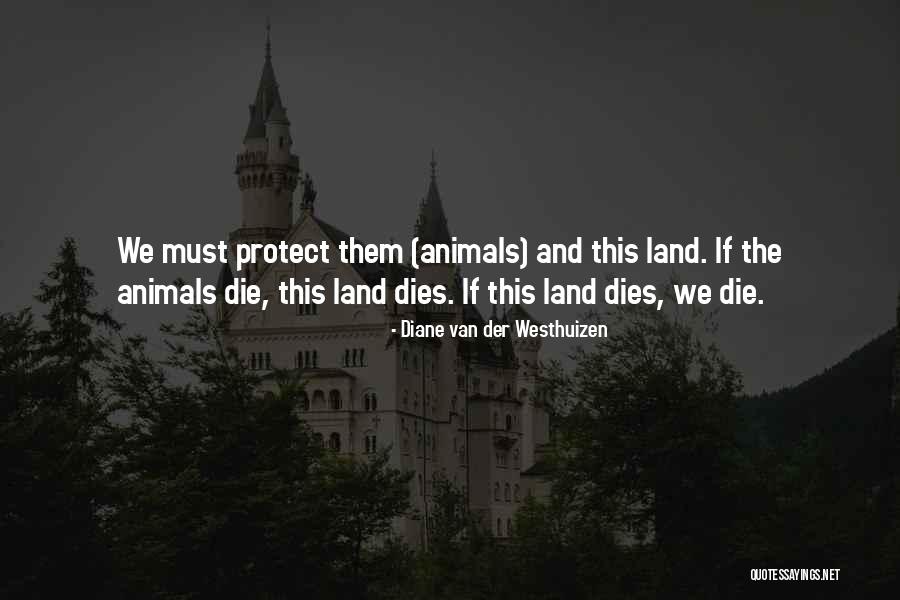 Paliotta Real Estate Quotes By Diane Van Der Westhuizen Paliotta Real Estate Quotes By Diane Van Der Westhuizen