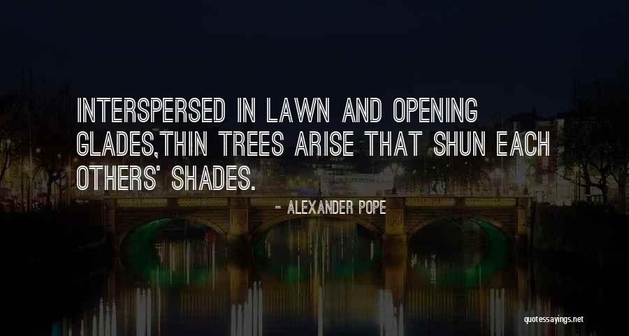 Paliwal Belongs Quotes By Alexander Pope Paliwal Belongs Quotes By Alexander Pope