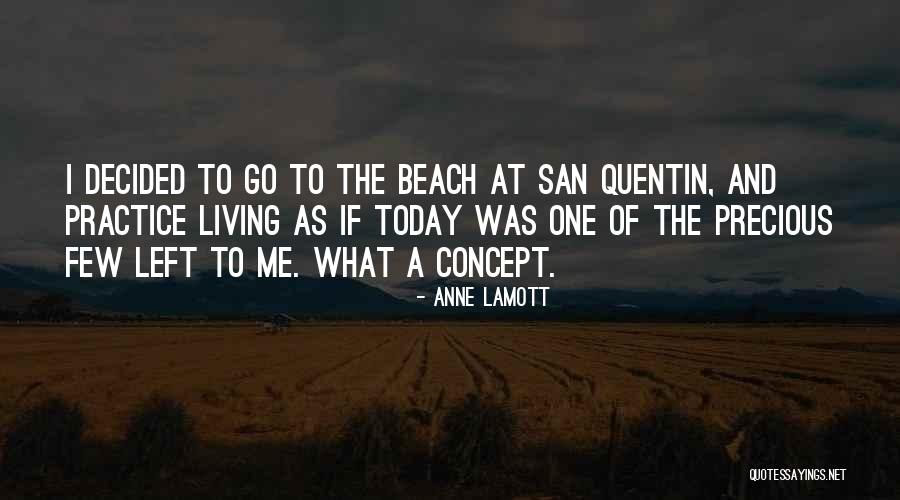 Pallab Sarker Quotes By Anne Lamott Pallab Sarker Quotes By Anne Lamott