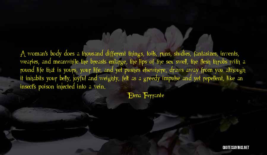Palladio Architecture Quotes By Elena Ferrante Palladio Architecture Quotes By Elena Ferrante