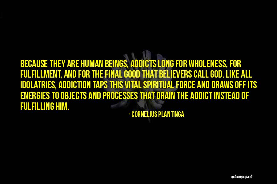 Pallasch Quotes By Cornelius Plantinga Pallasch Quotes By Cornelius Plantinga
