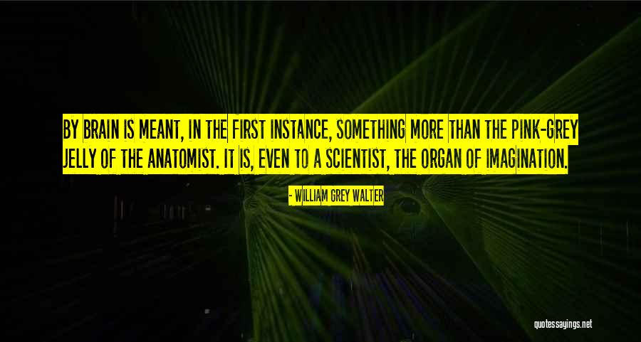 Pallasch Quotes By William Grey Walter Pallasch Quotes By William Grey Walter