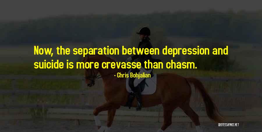 Palline Cinesi Quotes By Chris Bohjalian Palline Cinesi Quotes By Chris Bohjalian