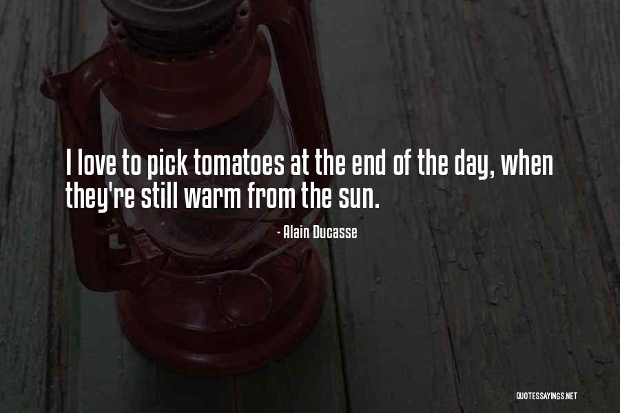 Pallino Pastaria Quotes By Alain Ducasse Pallino Pastaria Quotes By Alain Ducasse