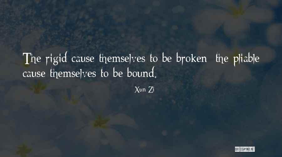 Palliser Regional Schools Quotes By Xun Zi Palliser Regional Schools Quotes By Xun Zi