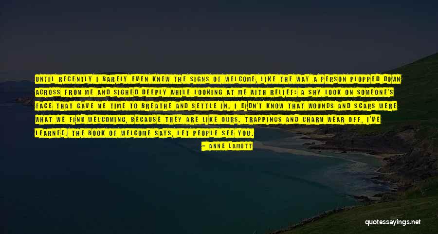Pallow Rice Quotes By Anne Lamott Pallow Rice Quotes By Anne Lamott