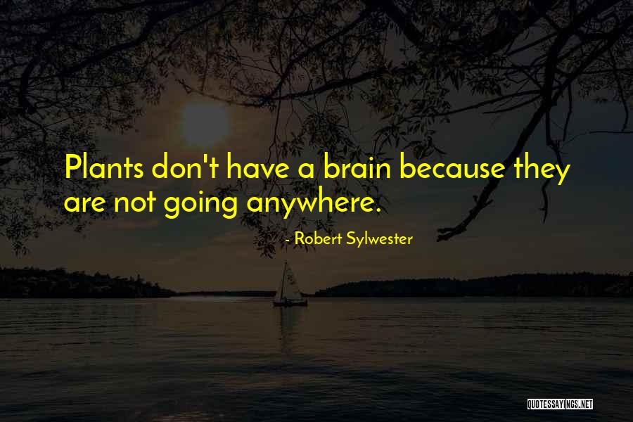 Pallusi Quotes By Robert Sylwester Pallusi Quotes By Robert Sylwester