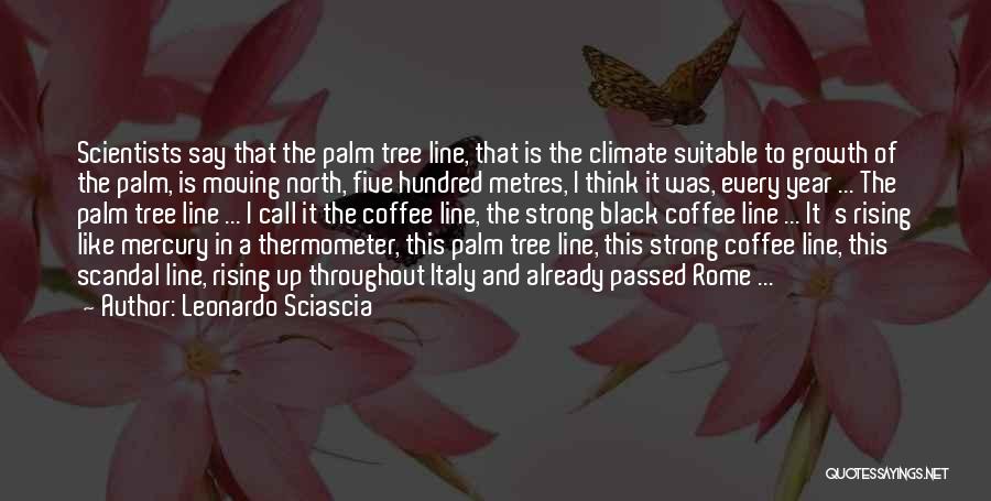 Palm Tree With Quotes By Leonardo Sciascia