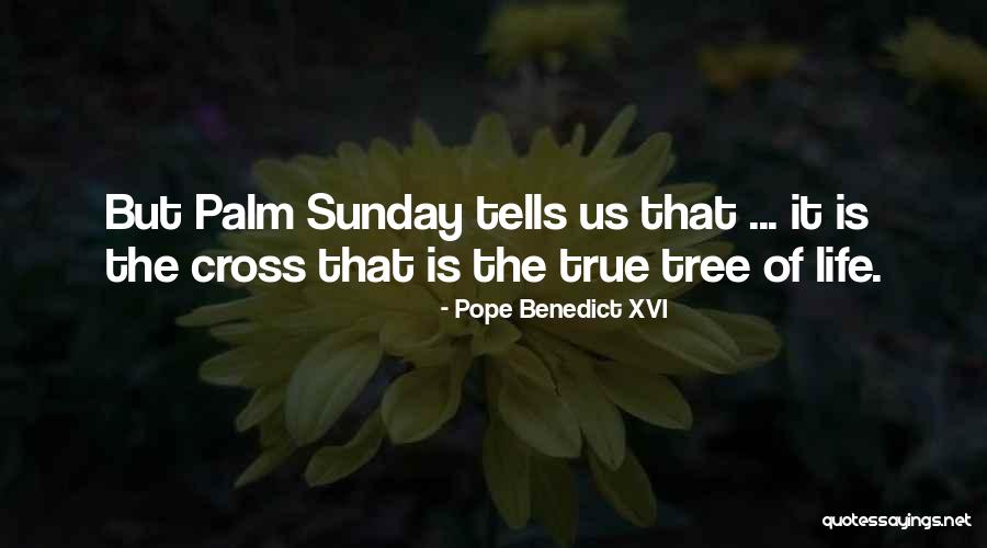 Palm Tree With Quotes By Pope Benedict XVI