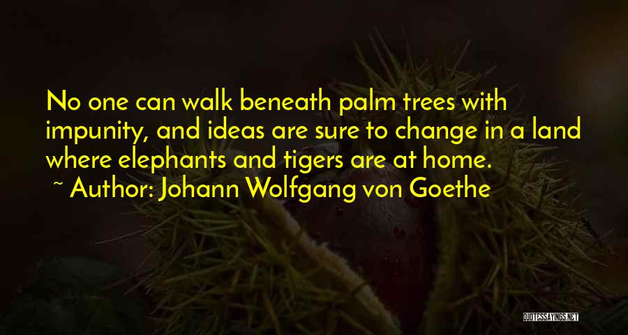 Palm Trees Quotes By Johann Wolfgang Von Goethe