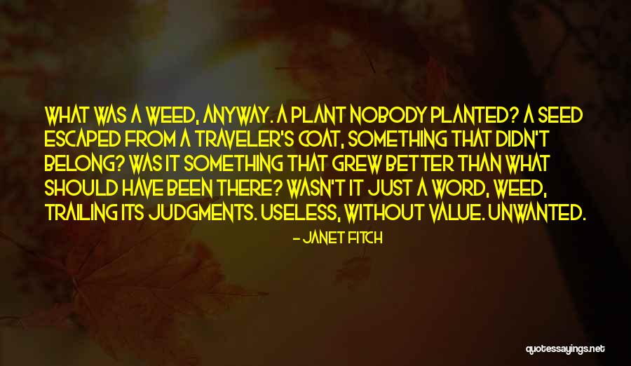 Palmaz Cabernet Quotes By Janet Fitch Palmaz Cabernet Quotes By Janet Fitch