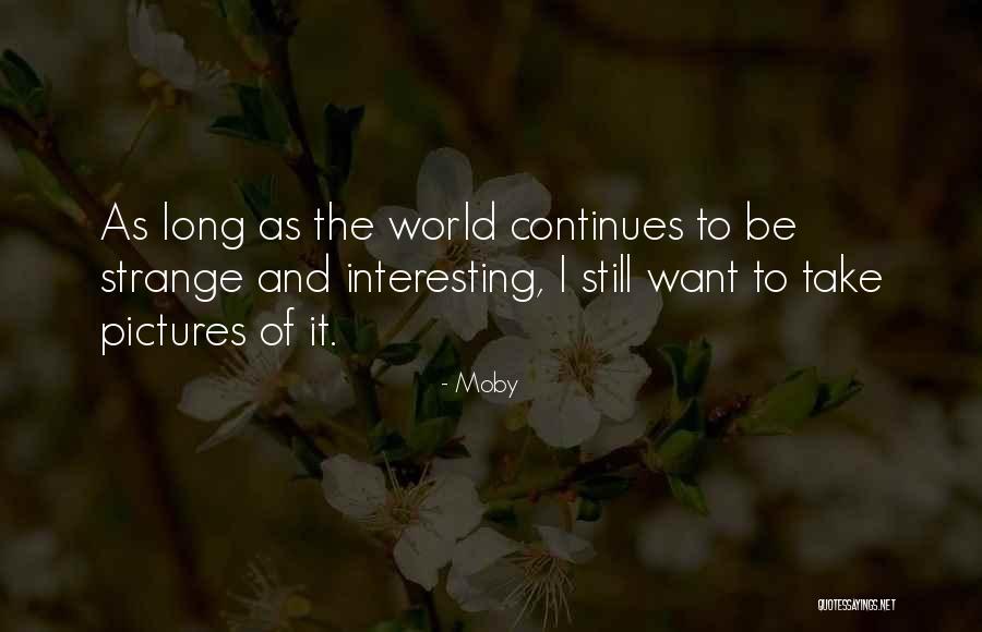 Palmaz Cabernet Quotes By Moby Palmaz Cabernet Quotes By Moby
