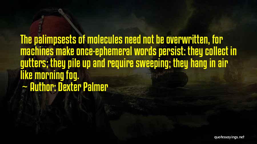 Palmer Quotes By Dexter Palmer