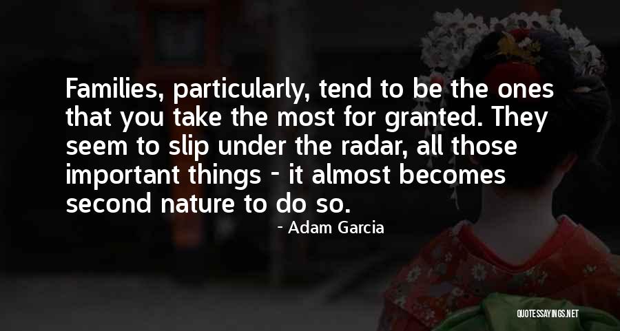 Palmerina Quotes By Adam Garcia Palmerina Quotes By Adam Garcia