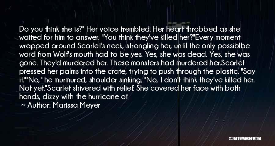 Palms Quotes By Marissa Meyer