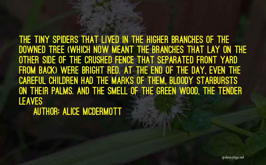 Palms Tree Quotes By Alice McDermott